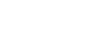 littlebrother_logo_white-01